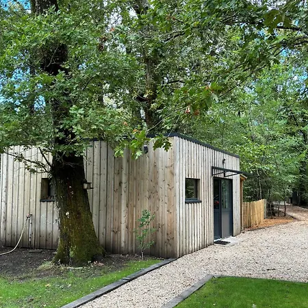 Studio En Pleine Nature ! Pessac Exterior photo